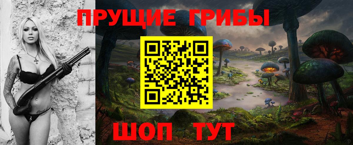 купить закладку  Псилоцибиновые грибы ЛСД  Галлюциногенные грибы мицелий  Вход с VPN  Нефтекумск 