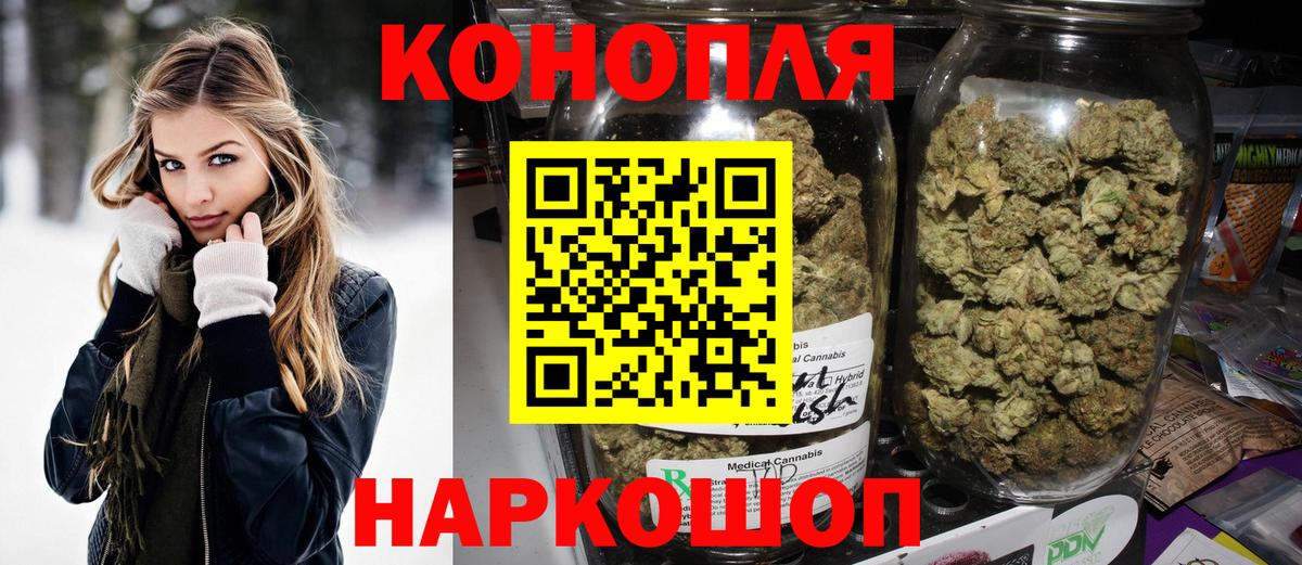 Марихуана сатива Нефтекумск